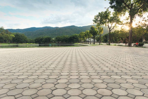 Best Brick Driveway Pavers  in Rancho Alegre, TX