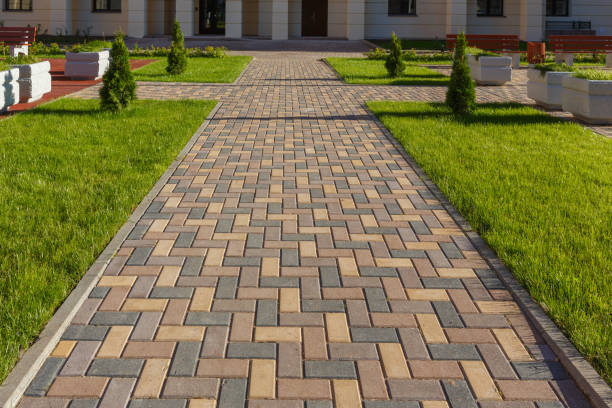 Best Commercial Driveway Pavers  in Rancho Alegre, TX