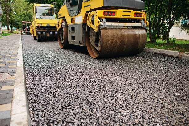 Best Driveway Paving Contractor  in Rancho Alegre, TX